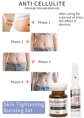 Merek Stalidearm Prancis Skin Booster Mesoterapi Anti Selulit Pelangsing Solusi Meso Injeksi
