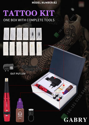 Kit Mesin Rias Permanen Alis Rotary Dengan Jarum Cartridge Thunderlord