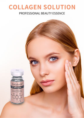 OEM/OBM Stalidearm Skin Care Essence Collagen Anti Wrinkle Hidrasi Wajah Serum Label Pribadi