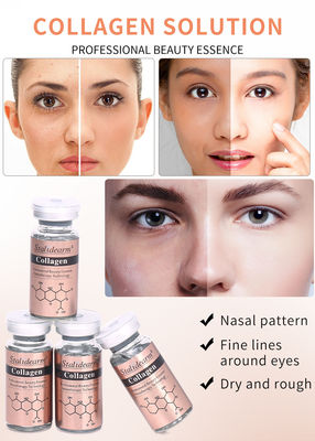 OEM/OBM Stalidearm Skin Care Essence Collagen Anti Wrinkle Hidrasi Wajah Serum Label Pribadi