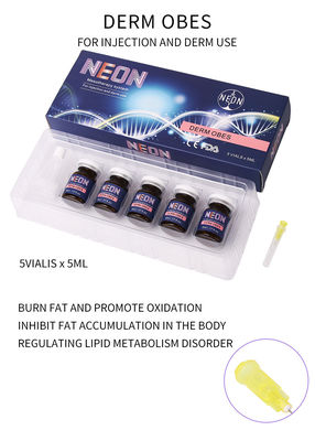 Mesotherapy Perawatan Selulit Injeksi Anti Obesitas Pelangsing Derm Obes