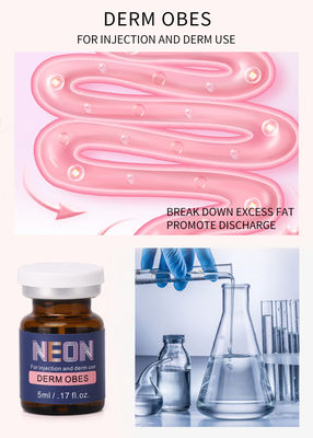 Mesotherapy Perawatan Selulit Injeksi Anti Obesitas Pelangsing Derm Obes