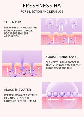 OEM Meso Therapy Serum Kesegaran Ha Injeksi Asam Hyaluronic Pelembab