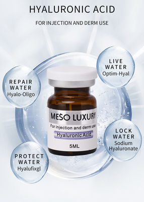 Label Pribadi Suntikan Serum Eksosom Asam Hyaluronic Skin Booster Injeksi Mesoterapi