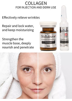 Injeksi Collagen Mesotherapy Solution Exosome Skin Booster Filler