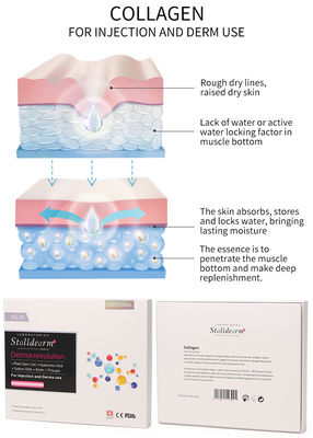 Injeksi Collagen Mesotherapy Solution Exosome Skin Booster Filler
