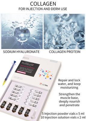 Injeksi Collagen Mesotherapy Solution Exosome Skin Booster Filler