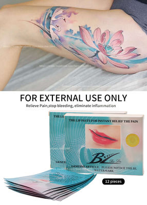 Pereda Sakit Bibir Pad BL Makeup Permanen Tato Bibir Pasta Berhenti Pendarahan Anti Pembengkakan