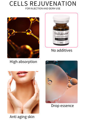 Larutan Mesoterapi Kolagen Injeksi Set Serum Exosome Skin Booster