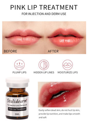 Grosir Stalidearm Asli Merek Merah Muda Perawatan Bibir Injeksi Serum Aman Essence Meso Terapi Set 5 pcs/Set